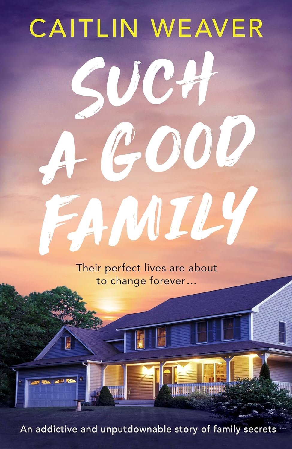 Unraveling the Ties That Bind: A Gripping Dive into Family Secrets in 'Such a Good Family'