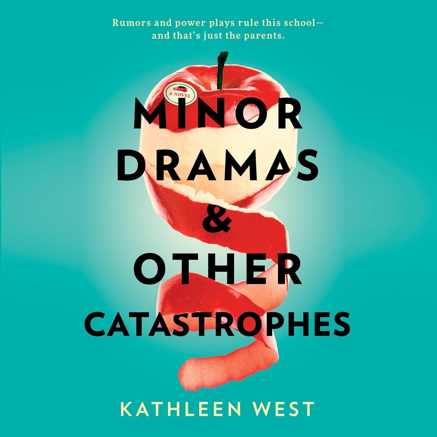 Navigating Chaos: A Deep Dive into Minor Dramas & Other Catastrophes