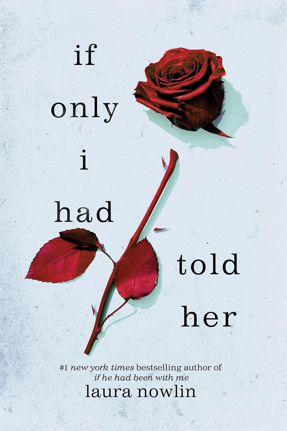 Whispers of Regret: A Deep Dive into "If Only I Had Told Her"