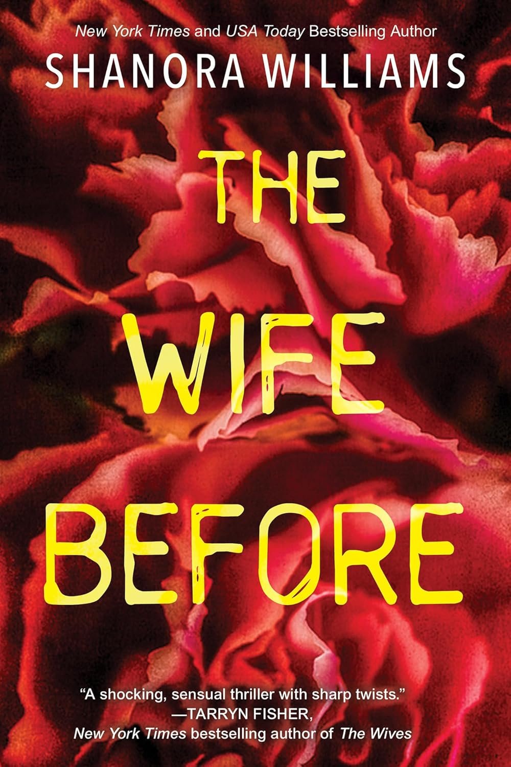 Unraveling Deception: A Riveting Dive into The Wife Before